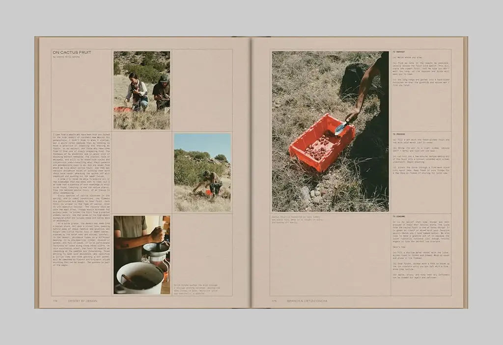 Desert by Design – Inside 02