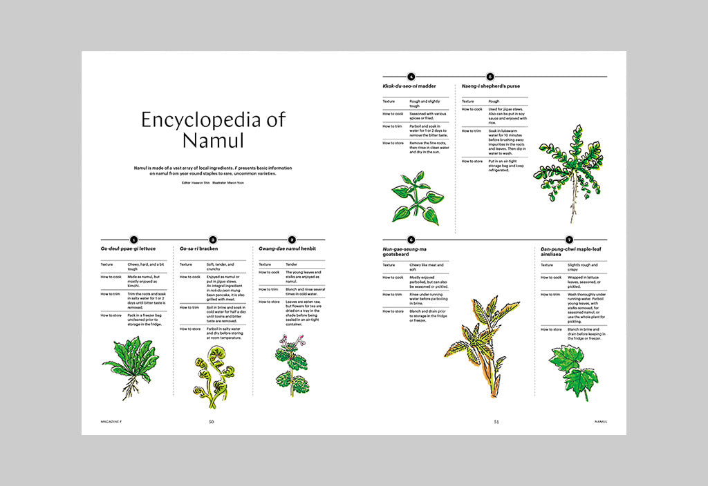 Magazine F – Issue 16: Namul – Inside 04