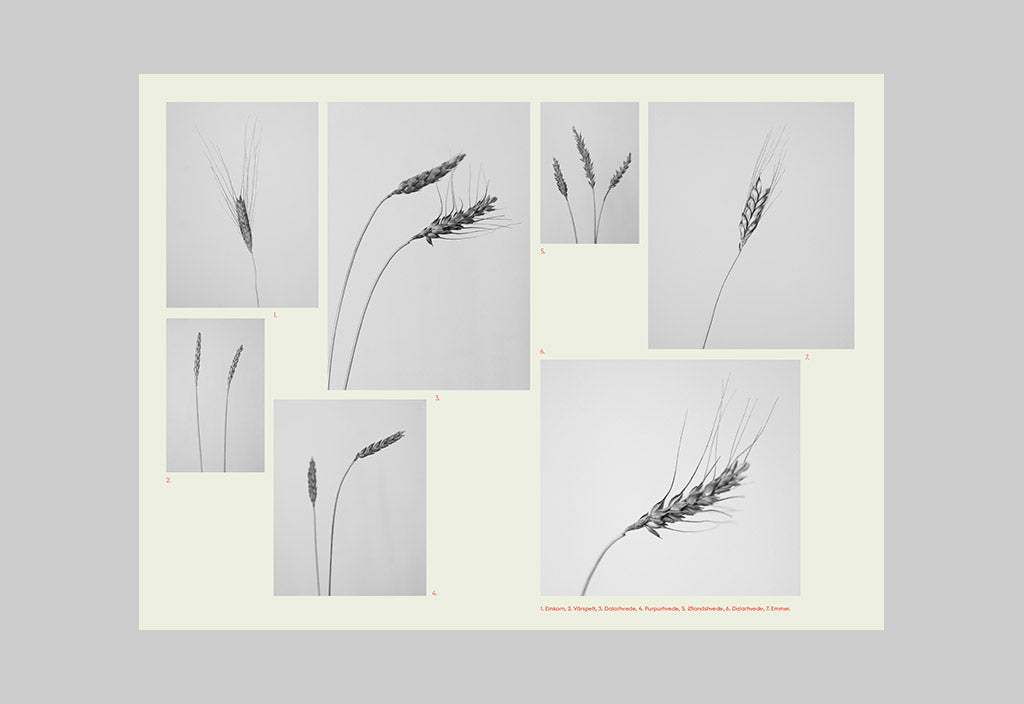 The Preserve Journal – Issue No. 06 – Inside 02