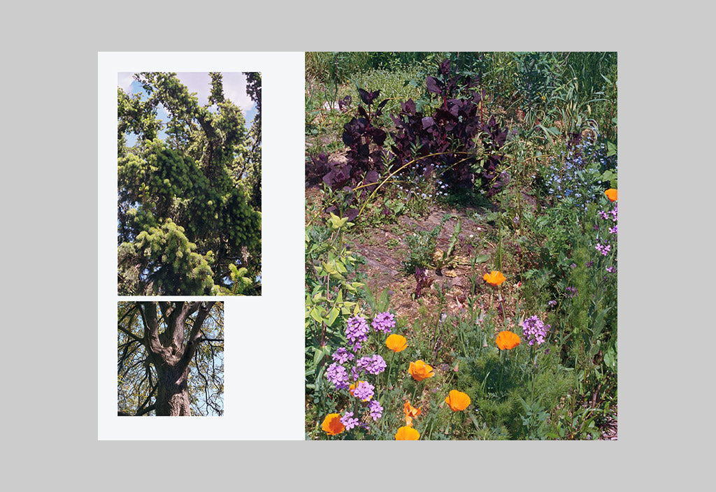 The Preserve Journal – Issue No. 06 – Inside 10