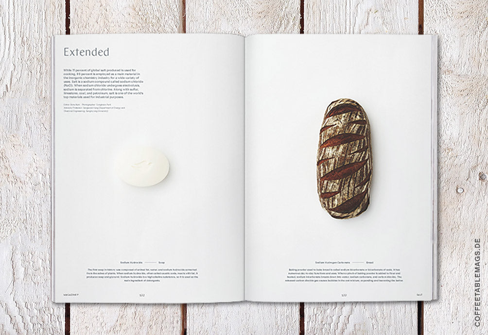 Coffee Table Mags // Independent Magazines // Magazine F – Issue 01: Salt – Inside 10