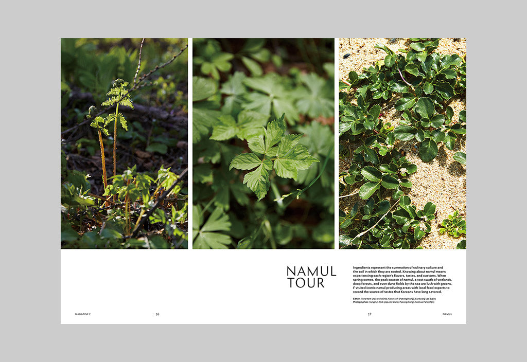 Magazine F – Issue 16: Namul – Inside 03