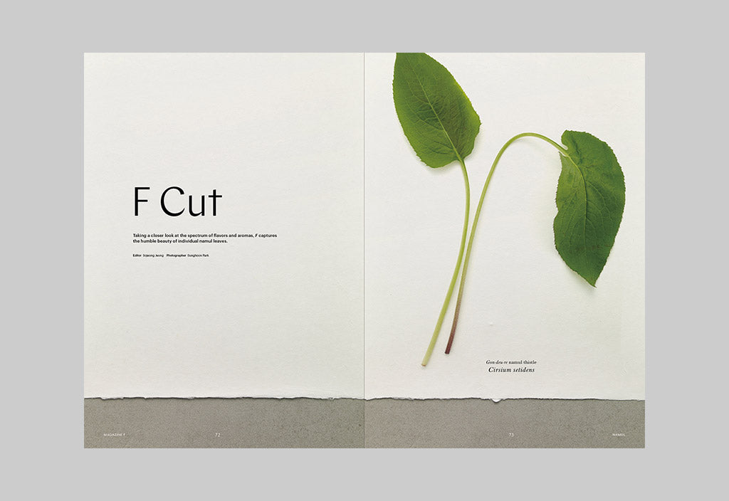 Magazine F – Issue 16: Namul – Inside 05