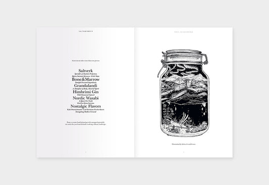 Salt & Wonder – Issue 02: Reykjavík – Inside 01